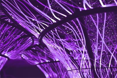 Purple digital fiber lines