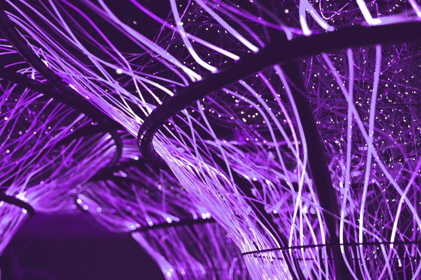 Close-up of glowing fiber optic cables for high-speed networking and digital connectivity.