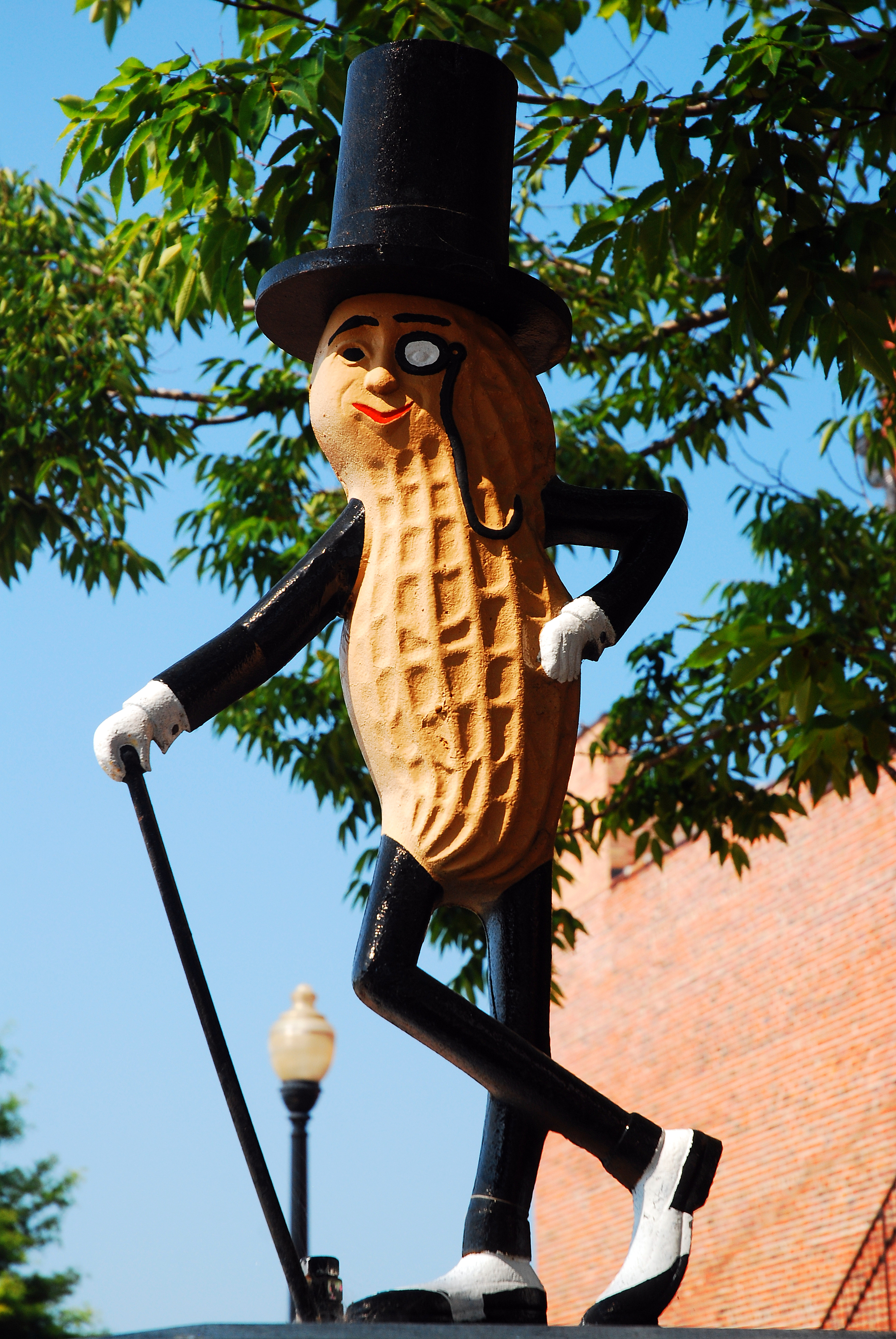 Mr Peanut Suffolk